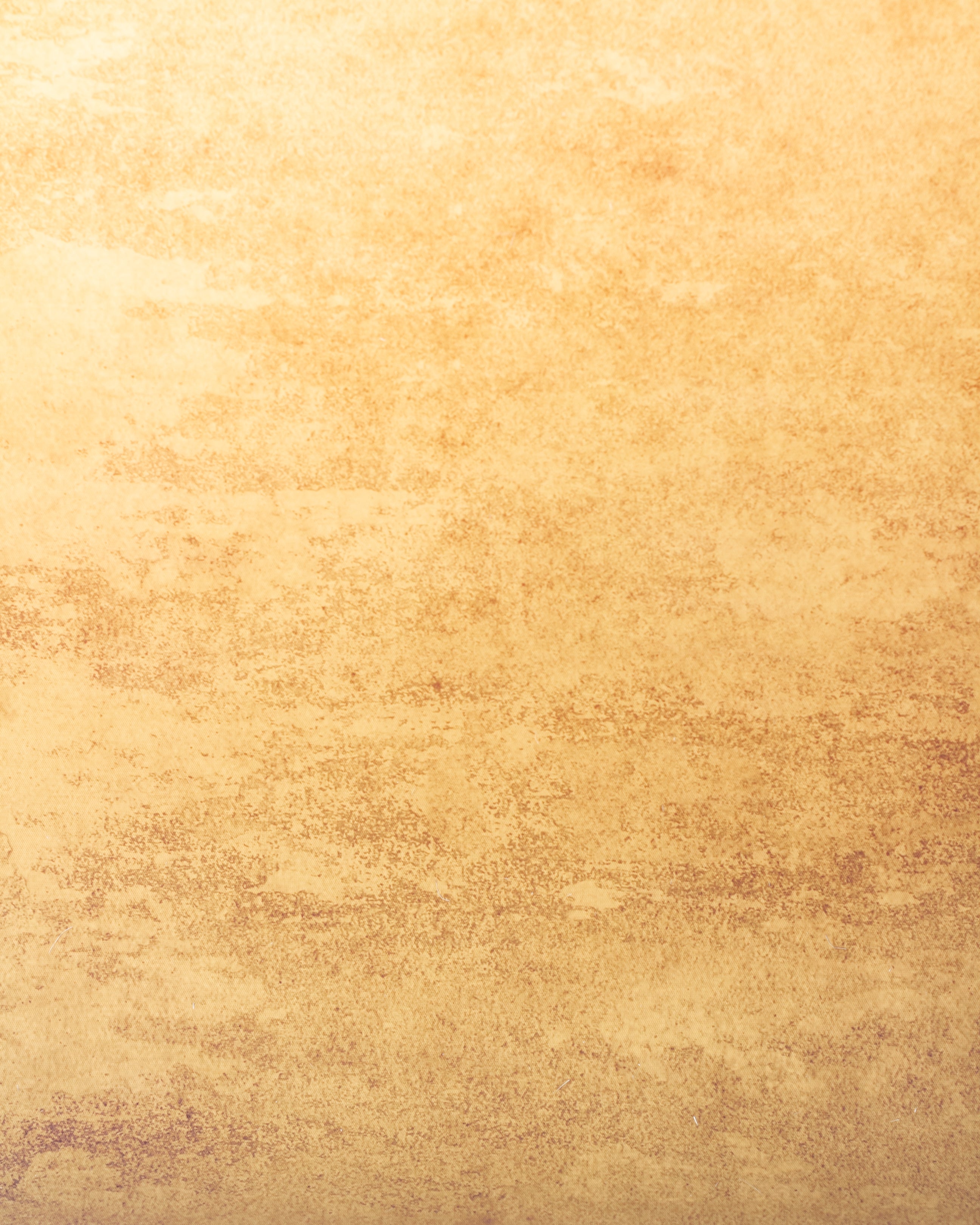Fondo Gradient Nude