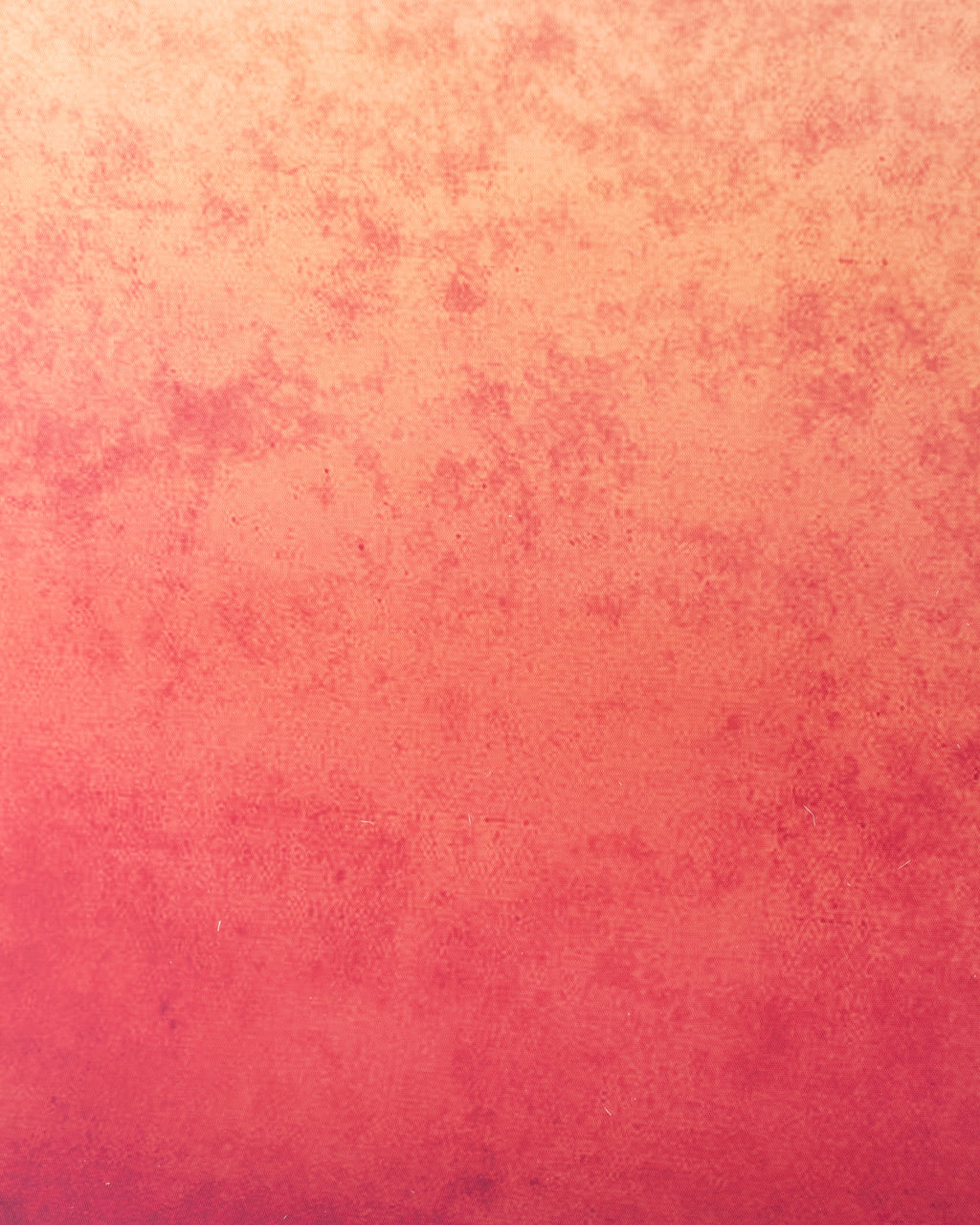 Fondo Gradient Pink