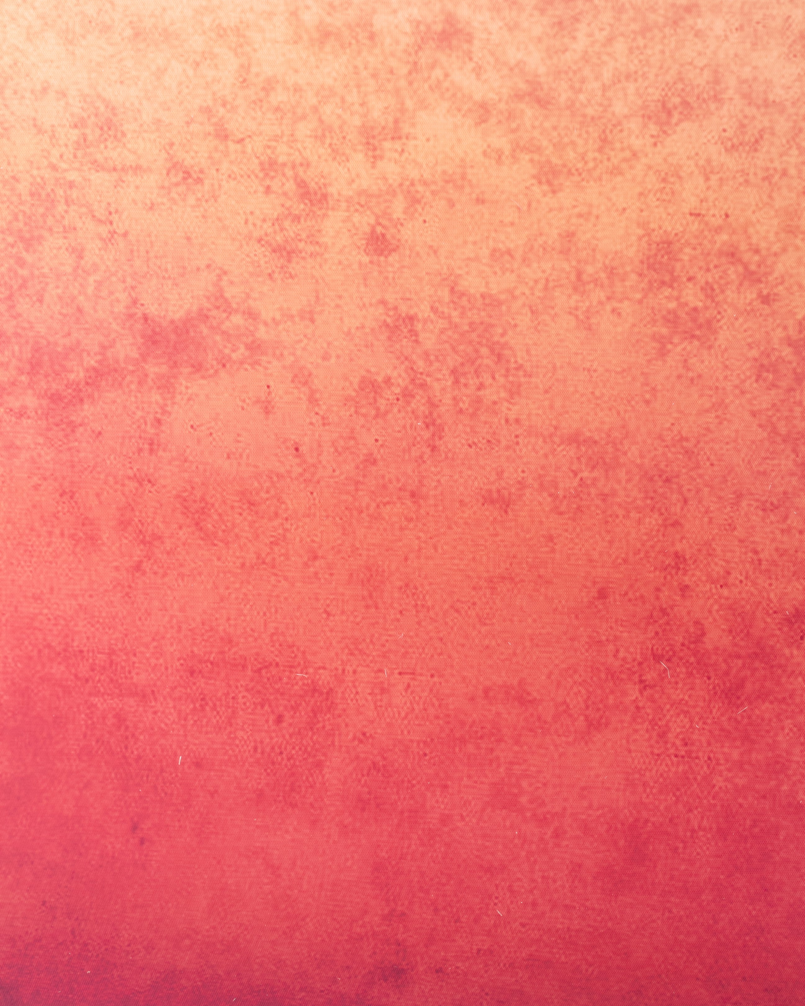 Fondo Gradient Pink