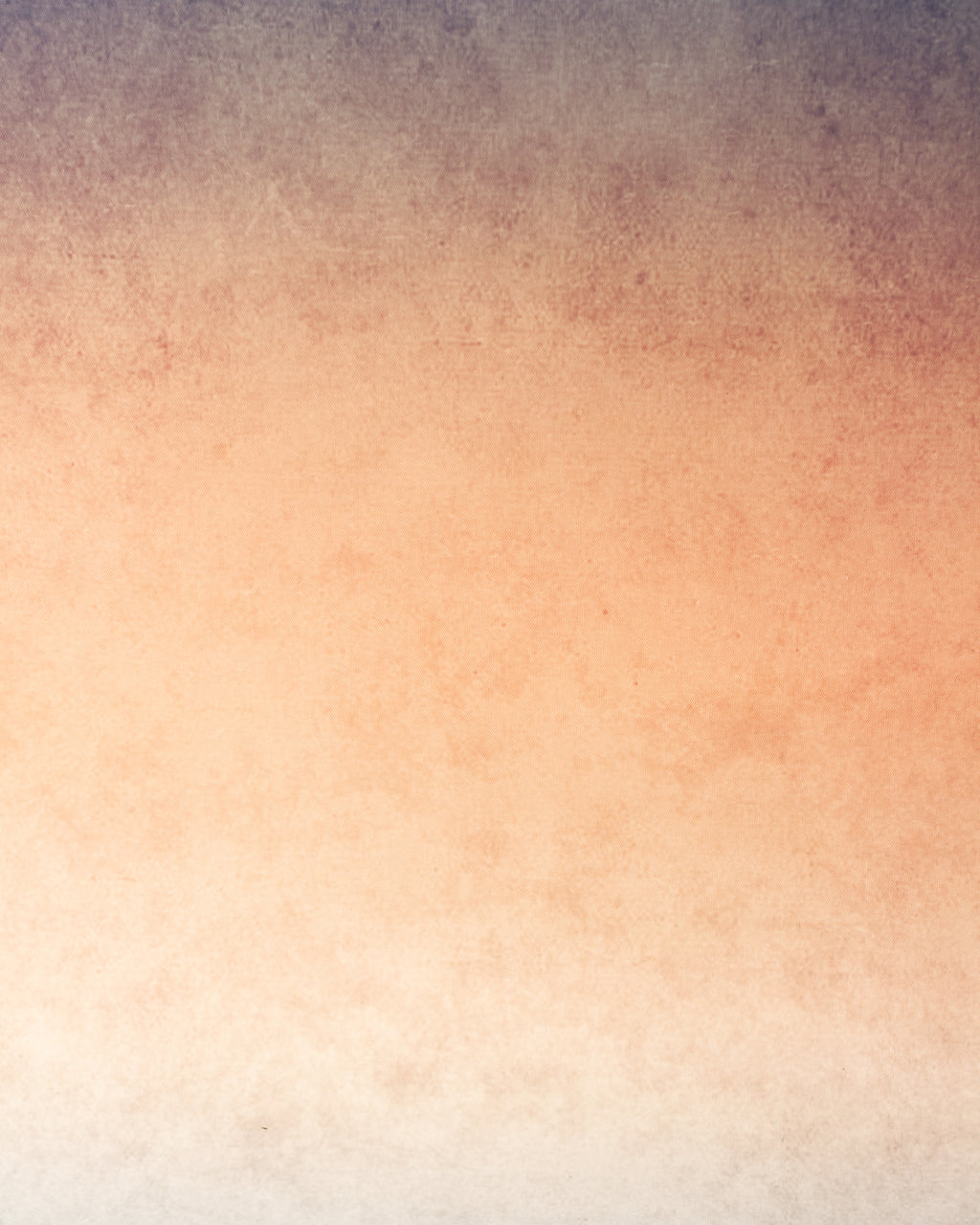 Fondo Gradient Salmon