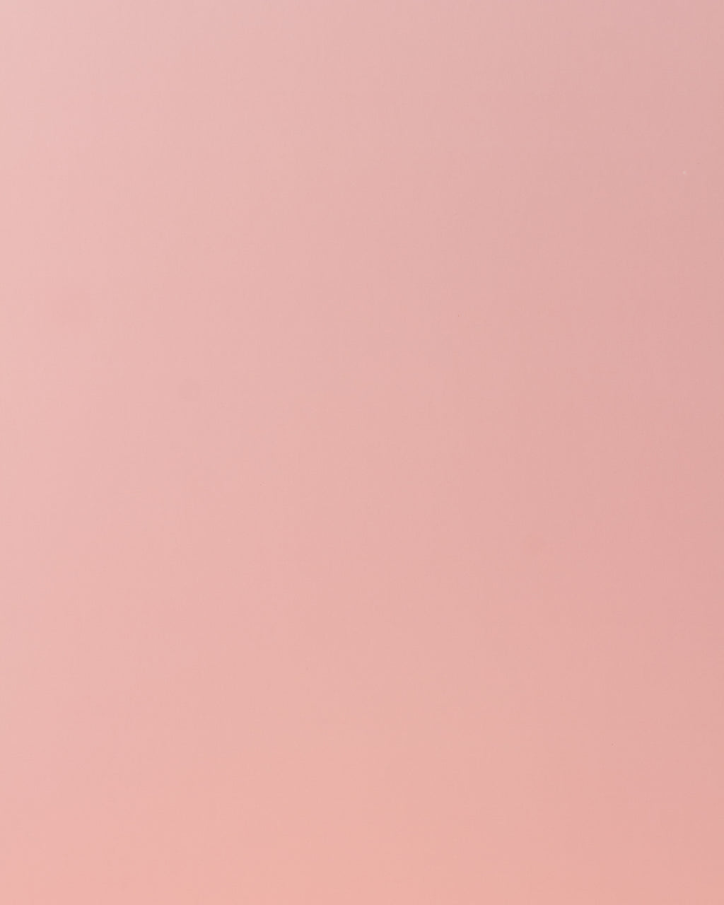 Fondo Mini Rosa