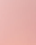 Fondo Mini Rosa