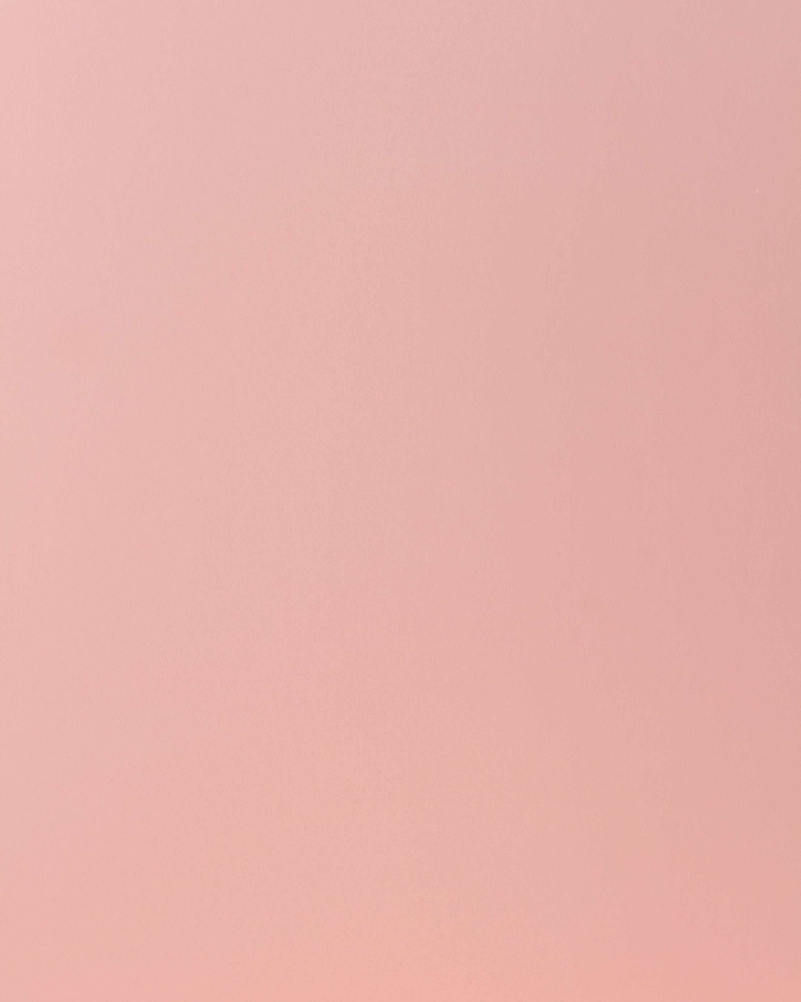 Fondo Mini Rosa