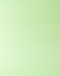 Fondo Mint