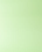 Fondo Mint