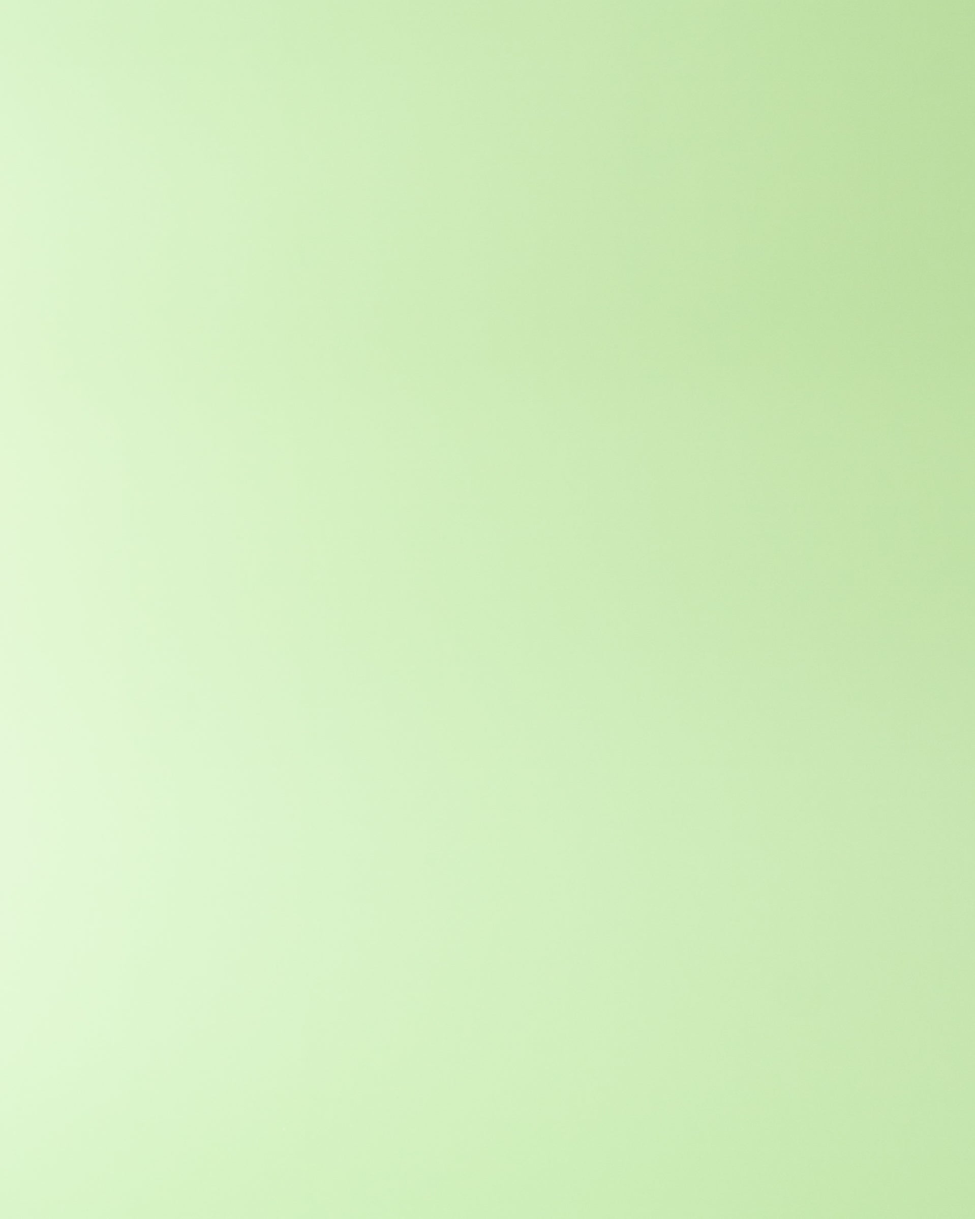 Fondo Mint
