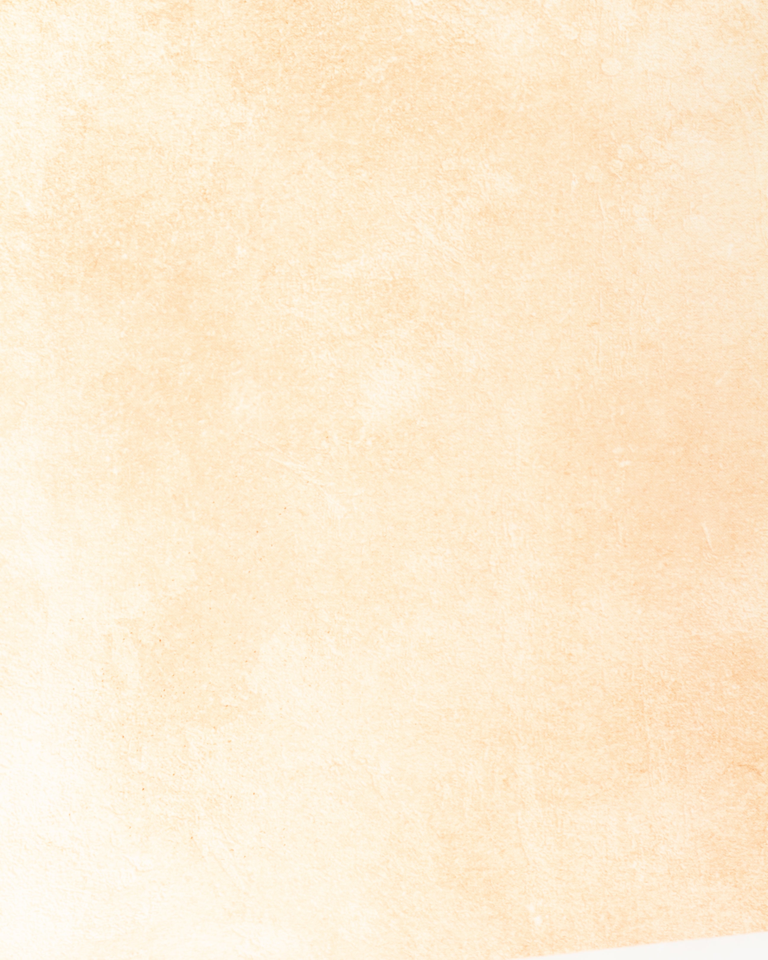 Fondo Rose Paint