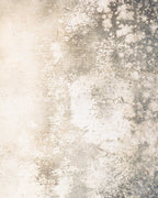 Fondo Vintage Neutrals Paint