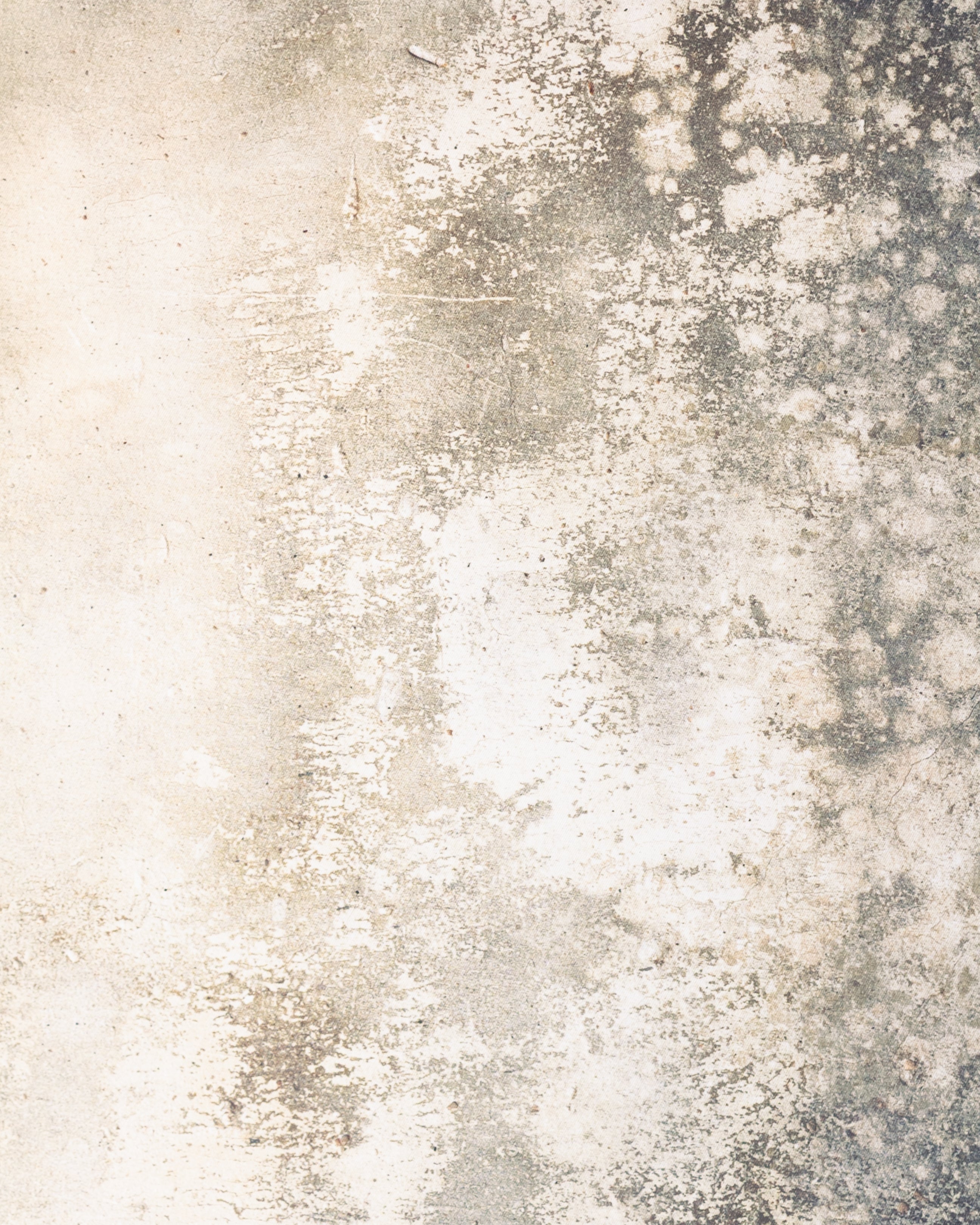 Fondo Vintage Neutrals Paint